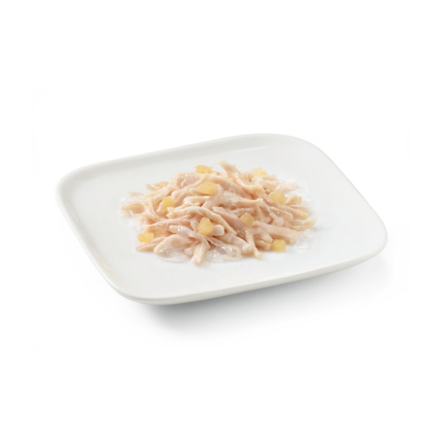 150 g Schesir Adult pollo con pi&ntilde;a lata para perros, , large indicador imagen numero 2