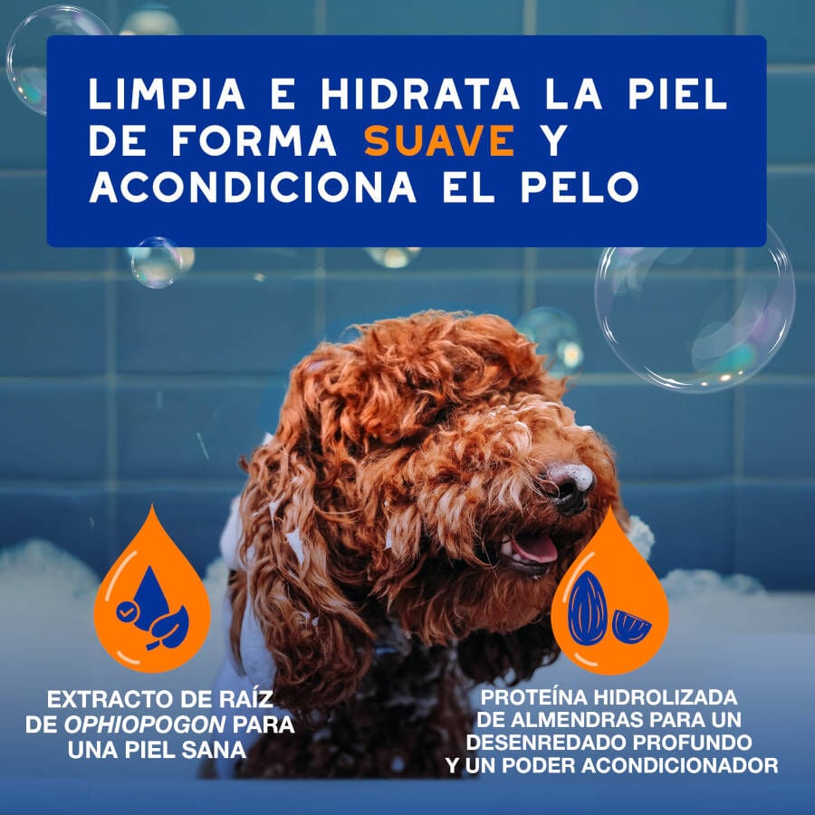 Ceva Douxo Spa Champ&uacute; 2 en 1 Desenredante para perros, , large indicador imagen numero 7