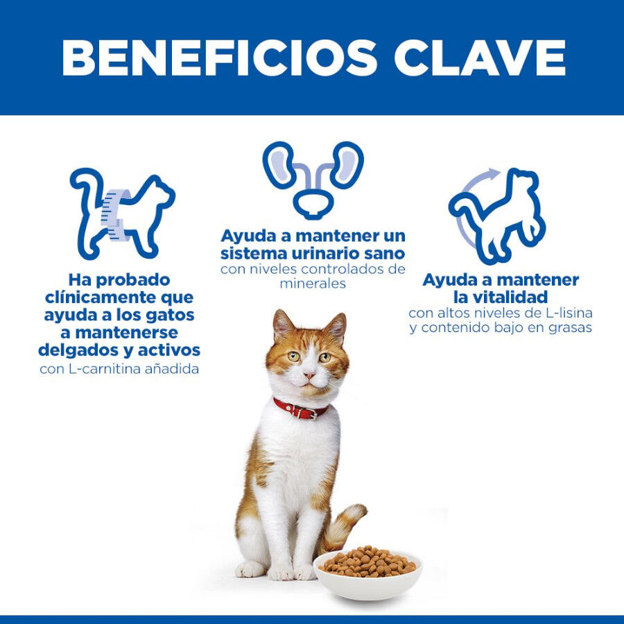 7 kg Hill's Science Plan Sterilised Young Adult Pato pienso para gatos, , large Imagen numero 5