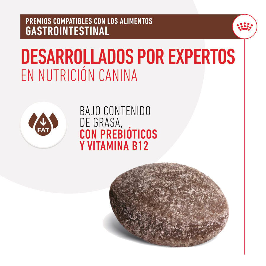 230 g Royal Canin Treats Gastrointestinal Snacks para Perros, , large Imagen numero 6