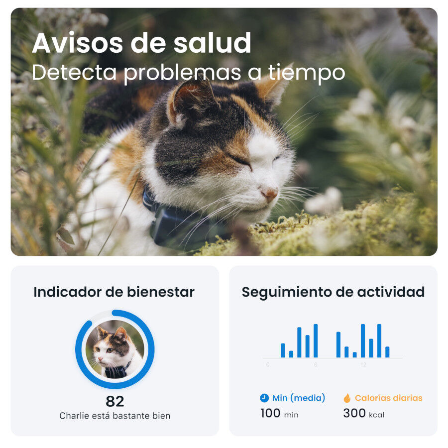 Tractive Localizador GPS para gatos, , large indicador imagen numero 7