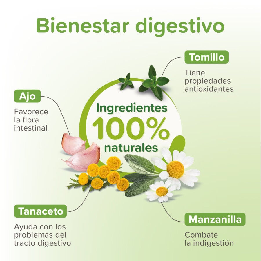 Beaphar Vermipure Repelente Interno Natural L&iacute;quido para perros y cachorros, , large indicador imagen numero 3