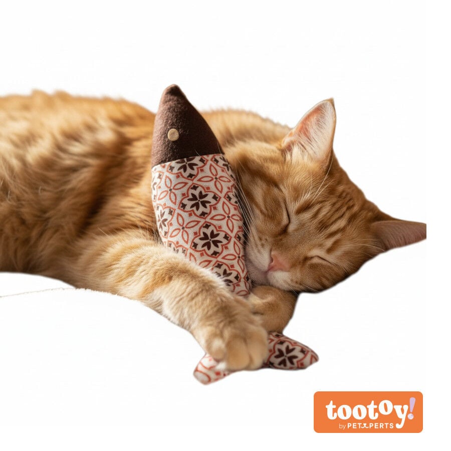 Tootoy! Peluche Pez con Catnip Estampado para gatos, , large Imagen numero 8