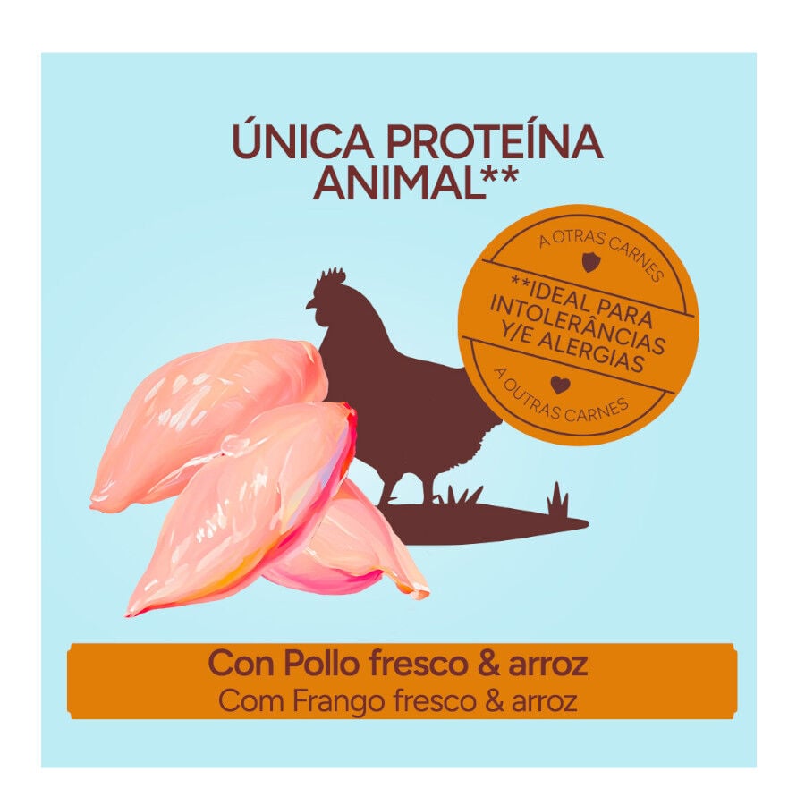 10 kg Criadores Monoproteico Puppy con Pollo pienso para perros, , large Imagen numero 3