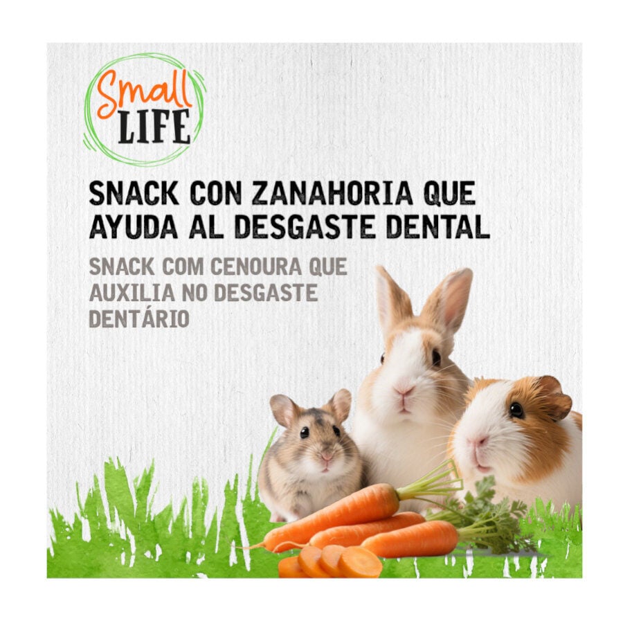 100 g Small Life Rollo de Heno con Zanahoria Snack para roedores y conejos, , large indicador imagen numero 3