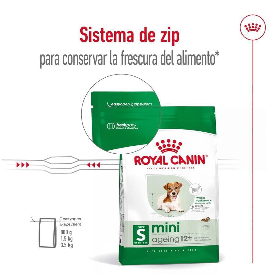 3.5 kg Royal Canin Mini 12+ Ageing pienso para perros&nbsp;senior, , large indicador imagen numero 4