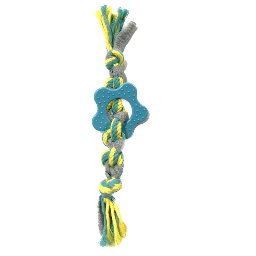 Tootoy! Chew Multi Rope Azul mordedor de cuerda para cachorros, , large indicador imagen numero 2