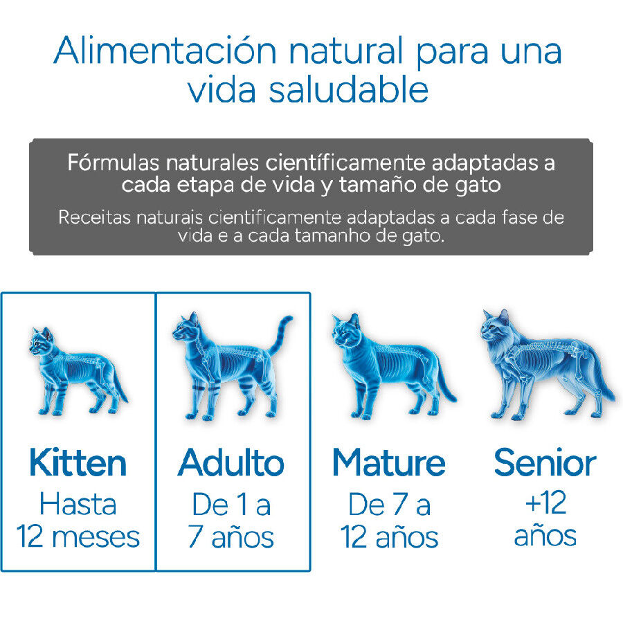 2 kg Criadores Cient&iacute;fico Mother & Baby Cat pollo pienso para gatos, , large Imagen numero 12