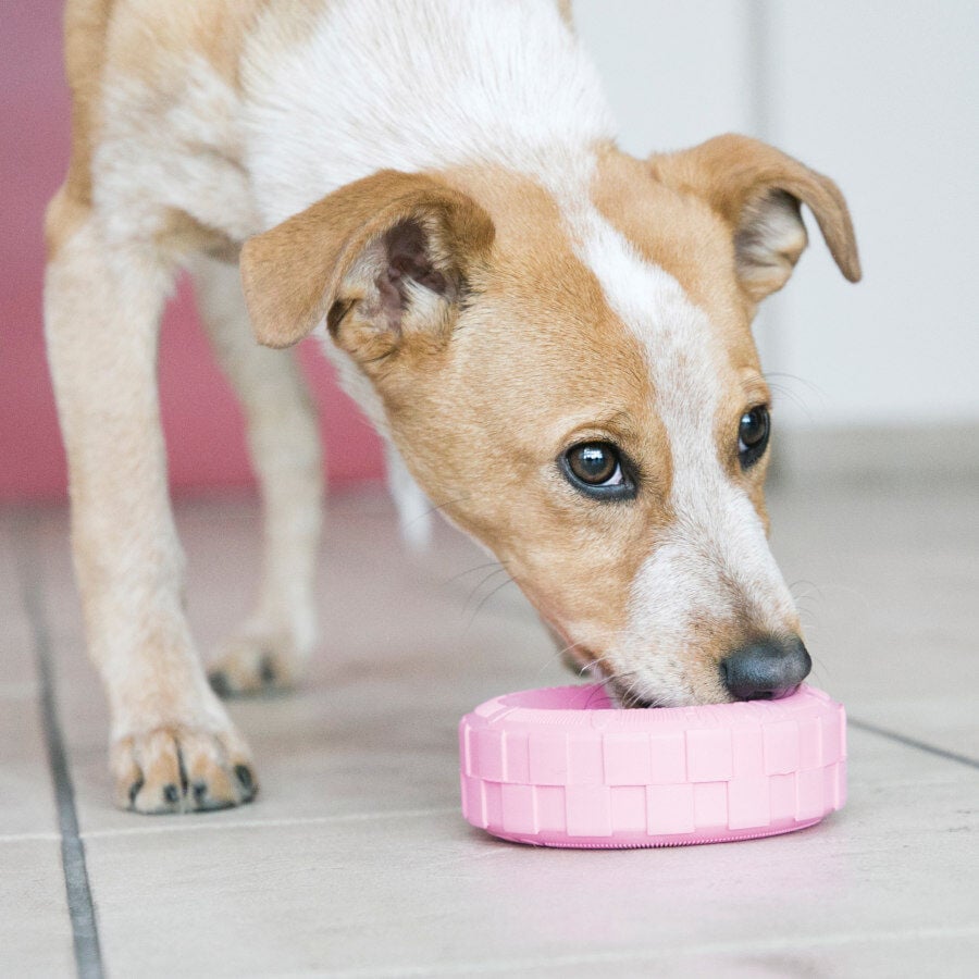 Kong Puppy Tire juguete para perros, , large indicador imagen numero 2