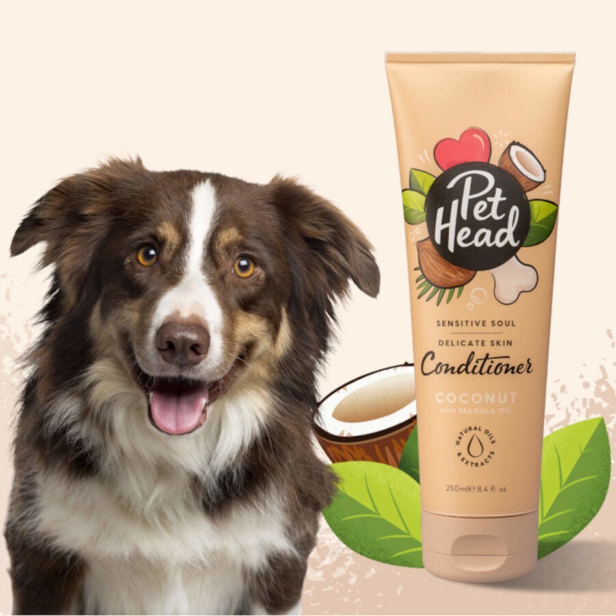 Pet Head acondicionador piel sensible de coco para perros, , large Imagen numero 2