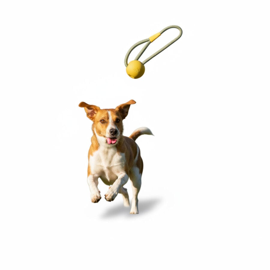 BECO Mordedor de goma con Cuerda Amarillo para perros, , large Imagen numero 6