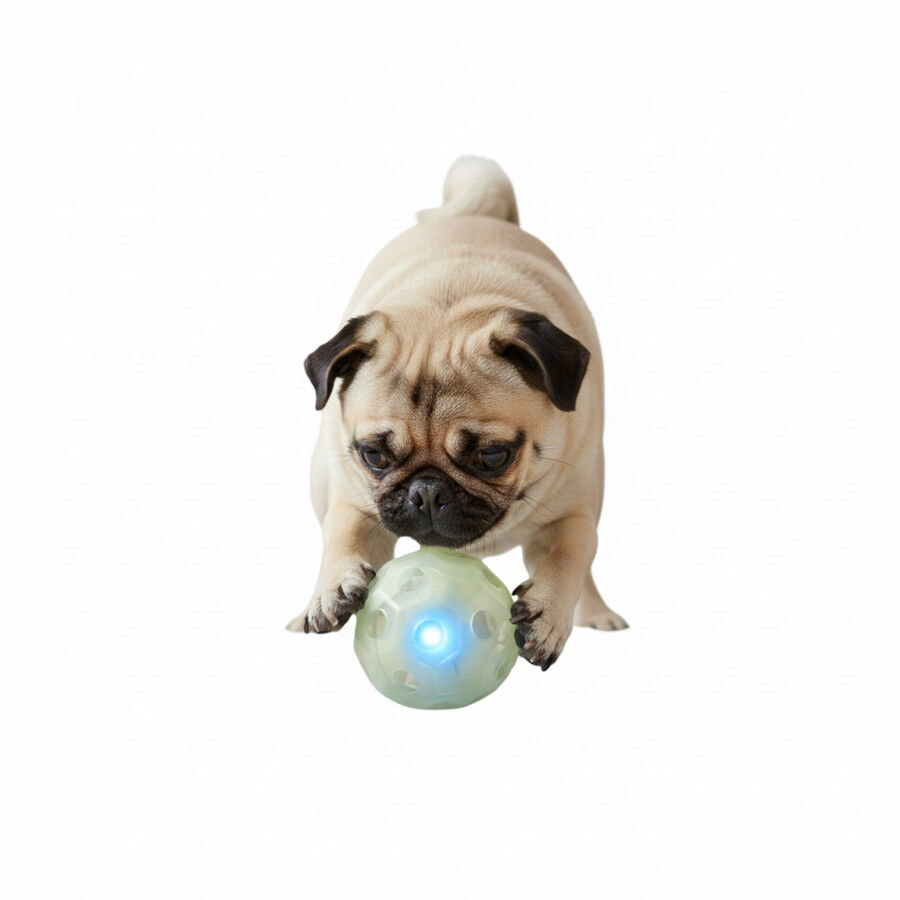All For Paws Juguete Knite Bal&oacute;n con Luz para perros, , large indicador imagen numero 3