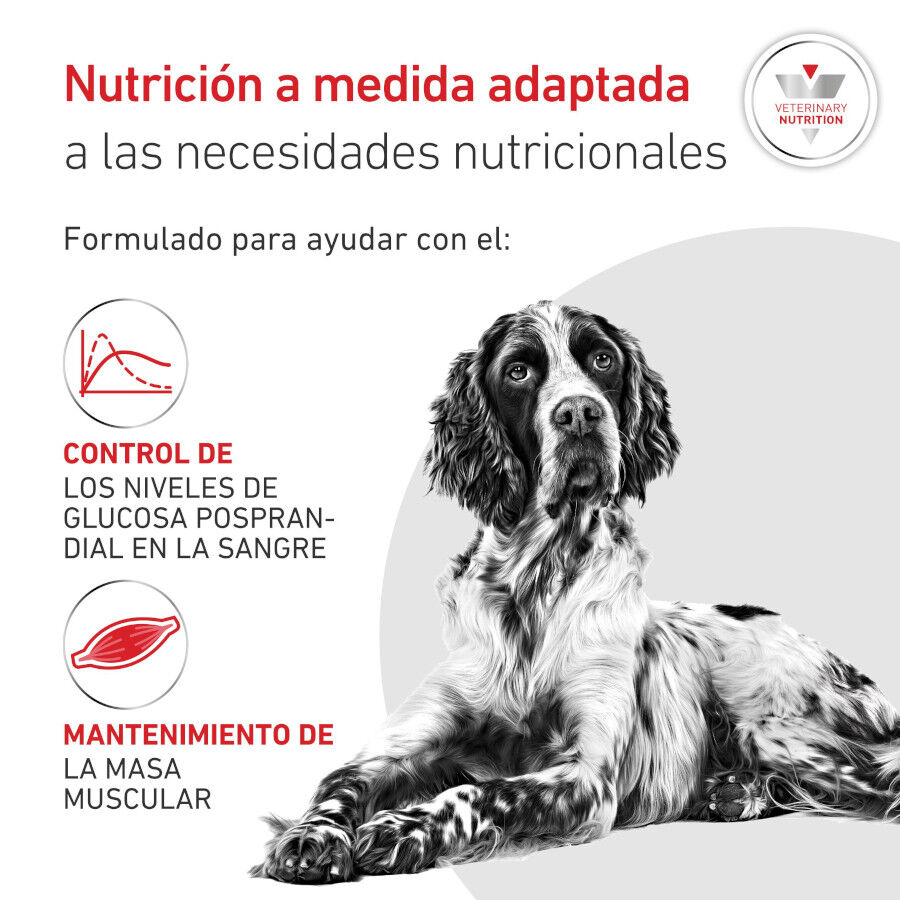 410 g Royal Canin Veterinary Diabetic latas para perros, , large indicador imagen numero 3