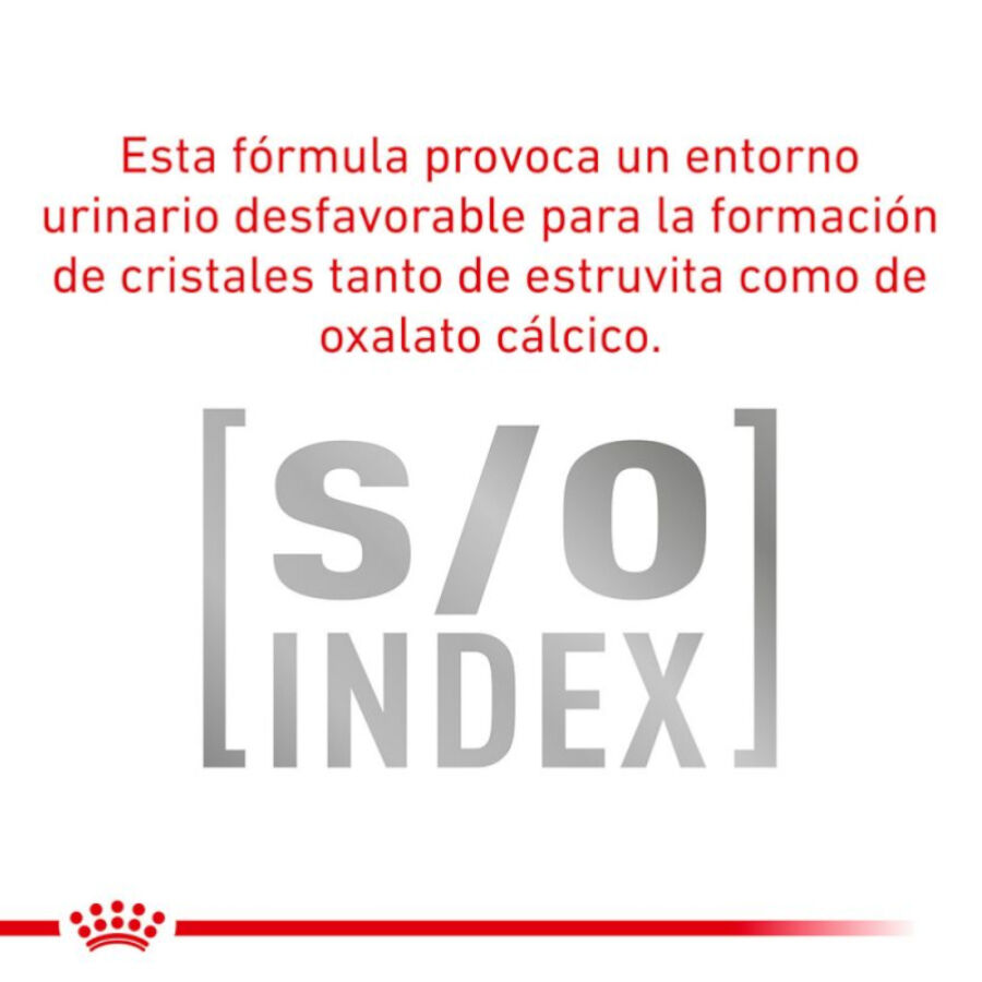 410 g Royal Canin Veterinary Sensitivity Control Mousse de Pollo y Arroz lata para perros, , large indicador imagen numero 2