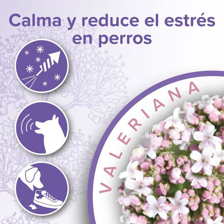 Beaphar Calming Collar Relajante para perros3 Imagen numero 3
