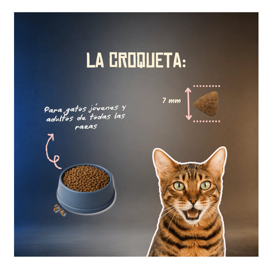 5 Kg Lenda Grain Free Light Conejo y Cerdo pienso para gatos, , large Imagen numero 6