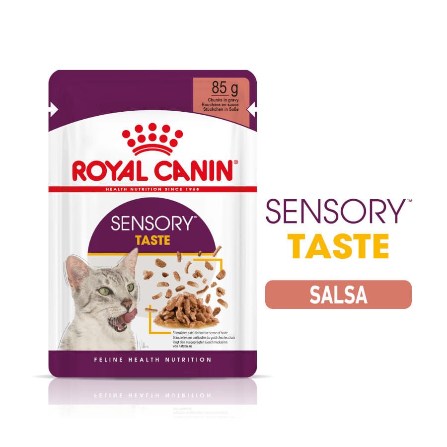 85 g Royal Canin Adult Sensory Taste salsa sobre para gatos, , large indicador imagen numero 1