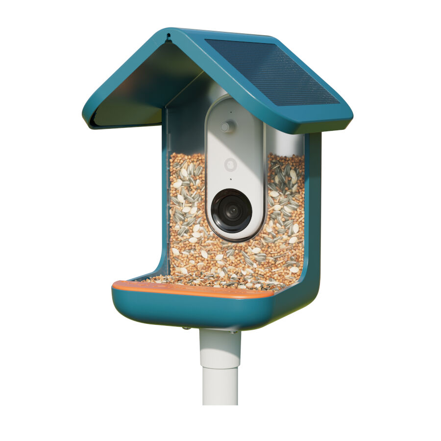 Birdbuddy Comedero Inteligente con C&aacute;mara para p&aacute;jaros, , large indicador imagen numero 3