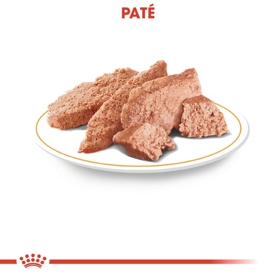 85 g Royal Canin Adult Poodle Pat&eacute; sobre para perros, , large indicador imagen numero 2