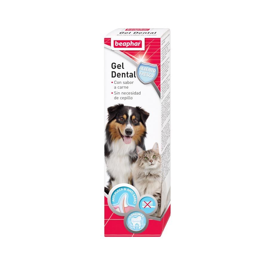 Gel dental Beaphar para perros y gatos 100 ml Imagen numero 1