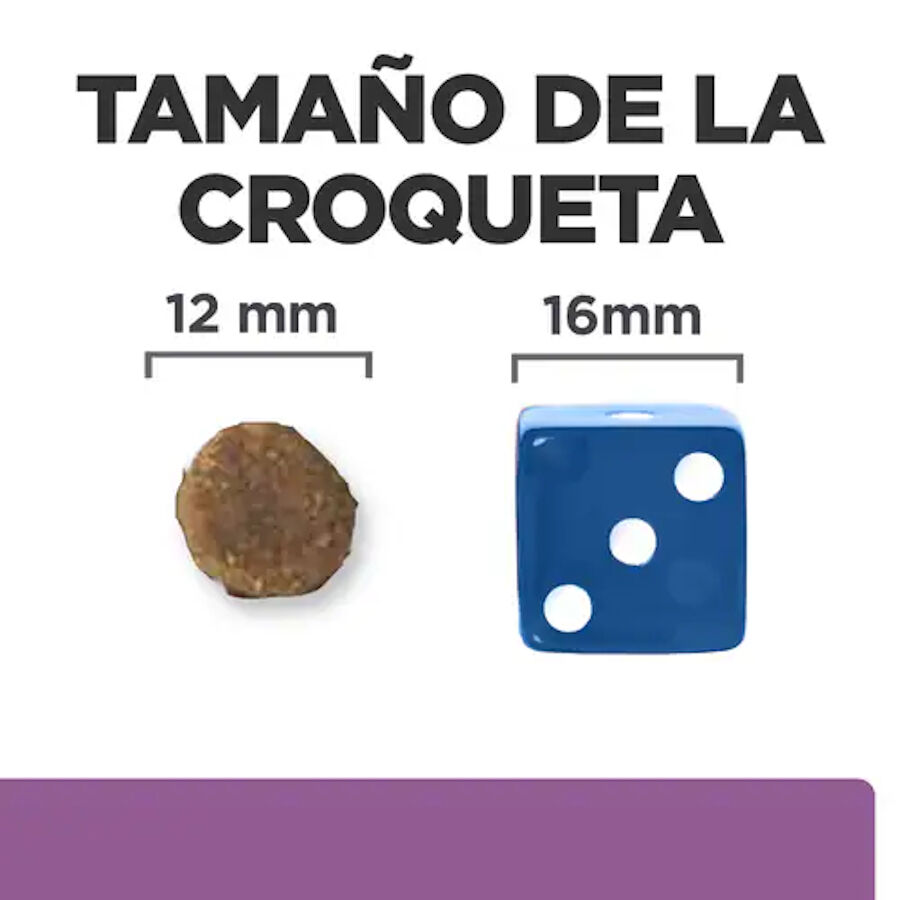 12 kg Hill's Prescription Diet b/d Ageing and Alertness Care Pollo pienso para perros&nbsp;senior, , large Imagen numero 3