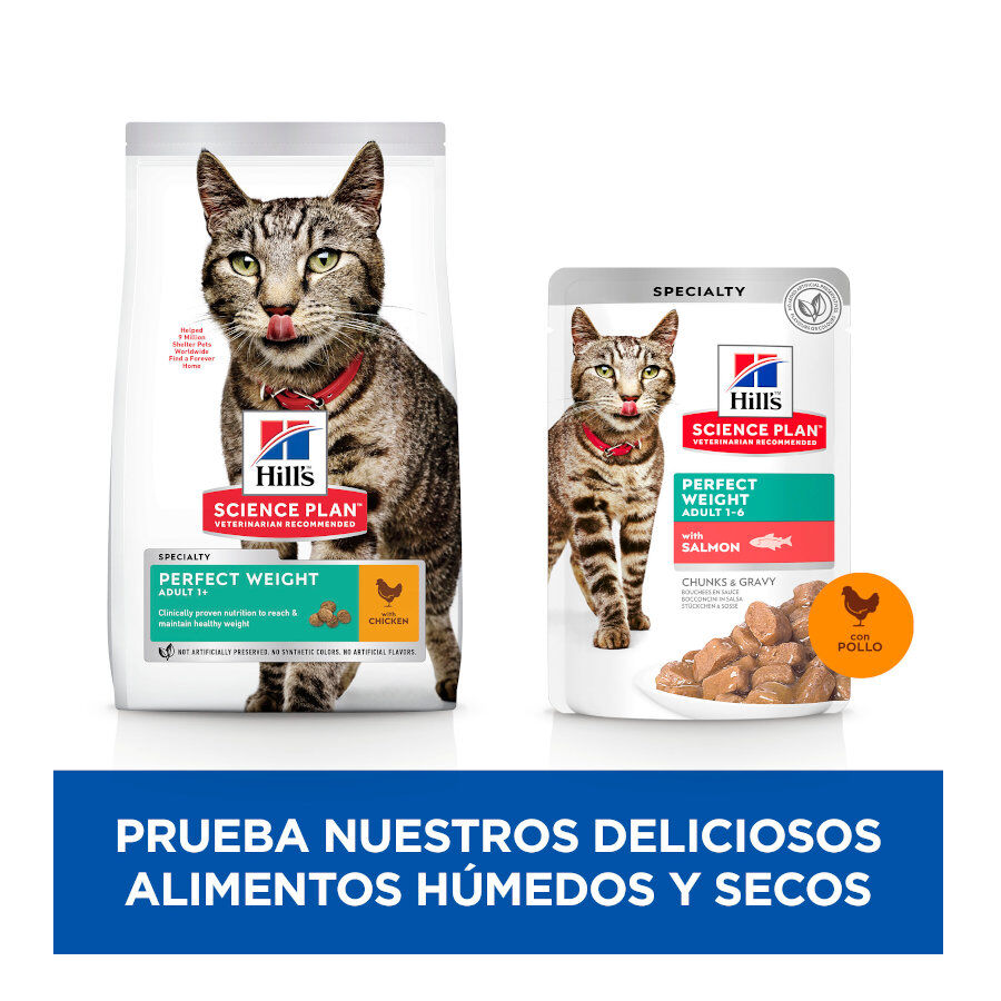 12 sobres x 85 g Hill's Perfect Weight Salm&oacute;n y Pollo sobre para gatos  12, , large Imagen numero 7