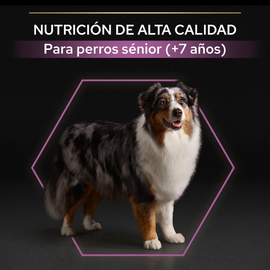 14 kg Pro Plan Adult Medium y Large Pollo pienso para perros S&eacute;nior +7, , large indicador imagen numero 8