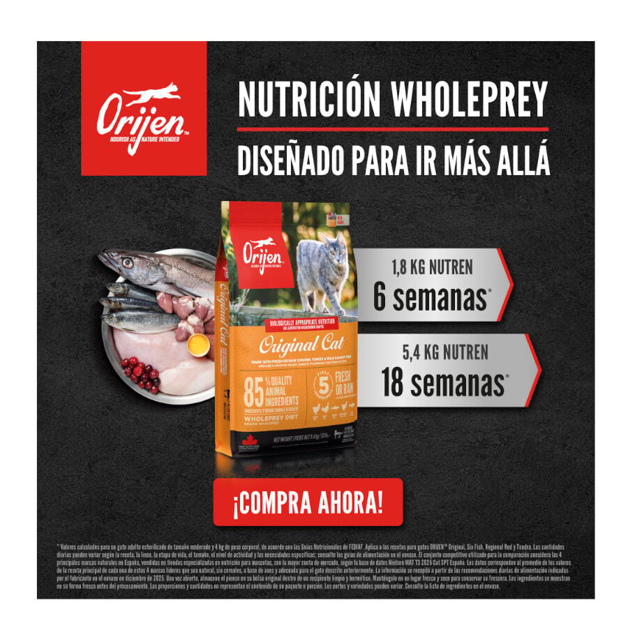 5.4 kg Orijen Six Fish pienso para gatos, , large indicador imagen numero 7