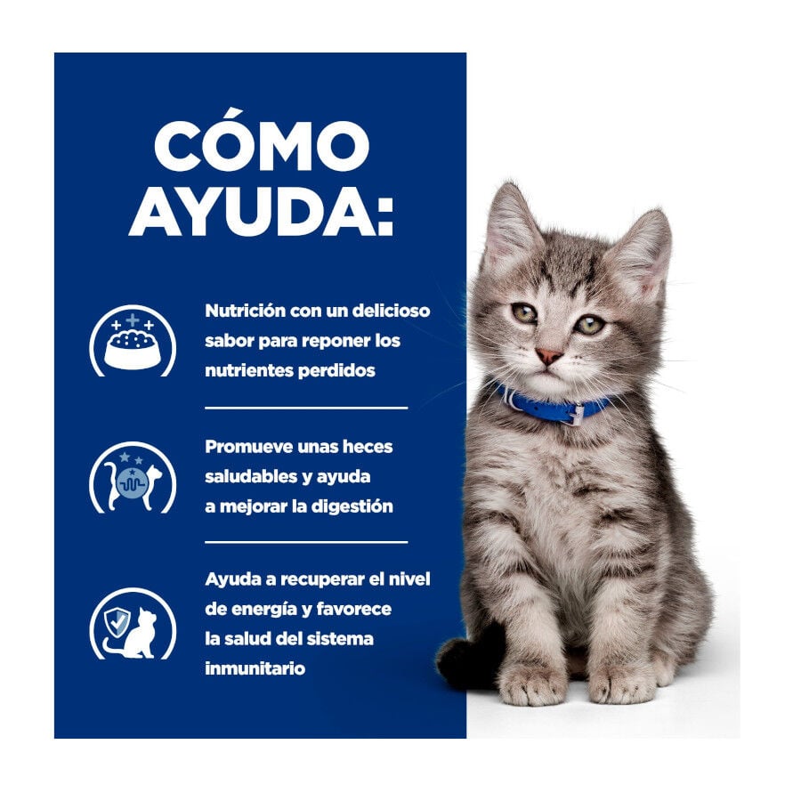 1.5 kg Hill's Prescription Diet i/d Digestive Care Kitten Digestivo Pienso Pollo para gatos, , large Imagen numero 4