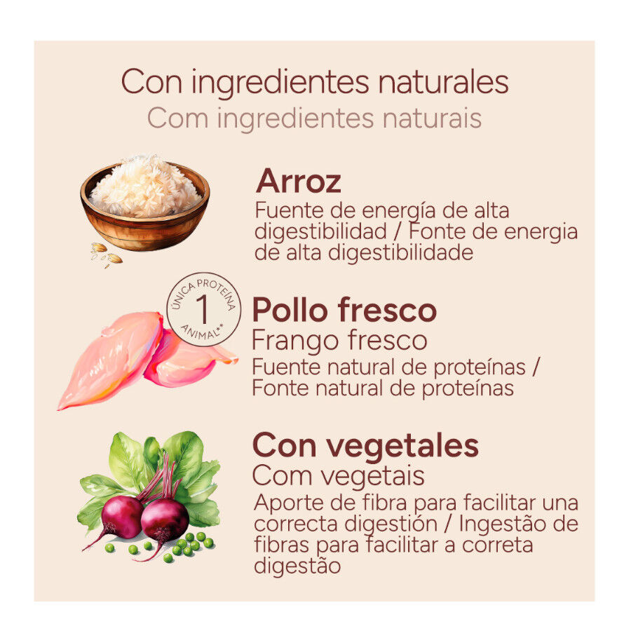 10 kg Criadores Monoproteico Adulto con Pollo pienso para perros, , large Imagen numero 4