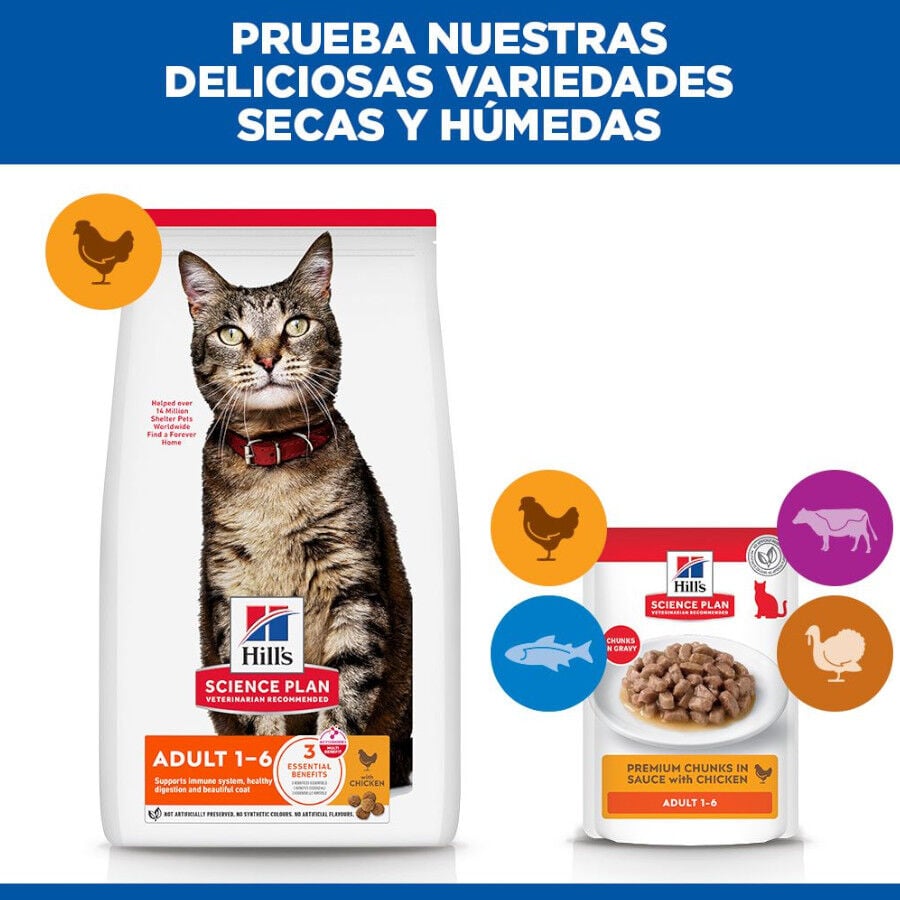 10 kg Hill's Science Plan Adult Pollo pienso para gatos, , large Imagen numero 7