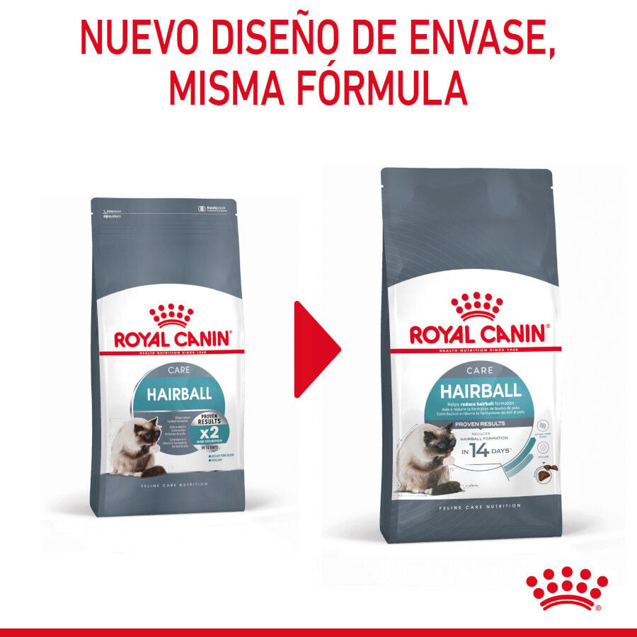 10 kg Royal Canin Intense Hairball pienso para gatos, , large Imagen numero 3