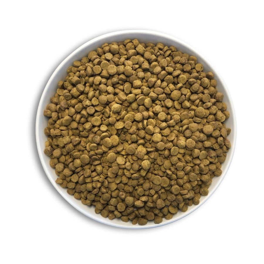 1 kg Cunipic Alpha Pro Parrots Natural Blend pienso para loros, , large indicador imagen numero 3