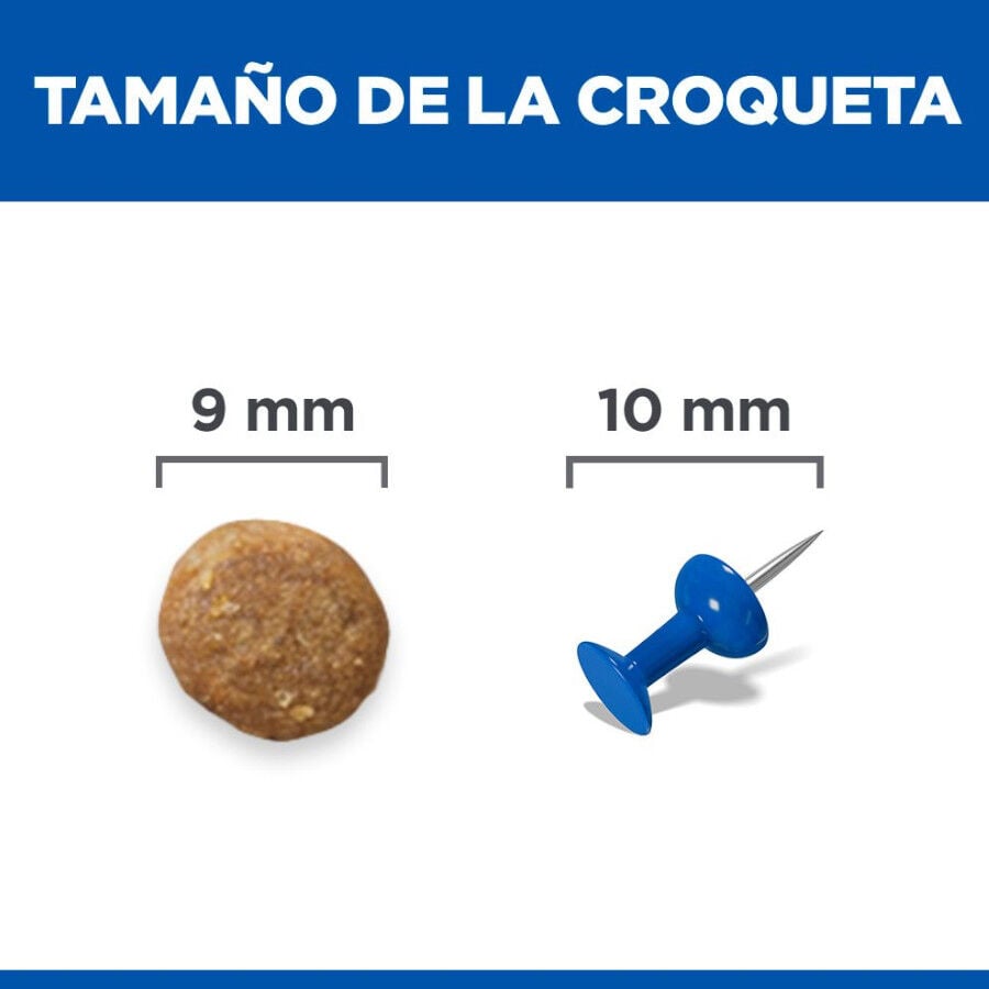 1.5 kg Hill's Adult Science Plan Sensitive Stomach Pollo pienso para gatos, , large indicador imagen numero 4