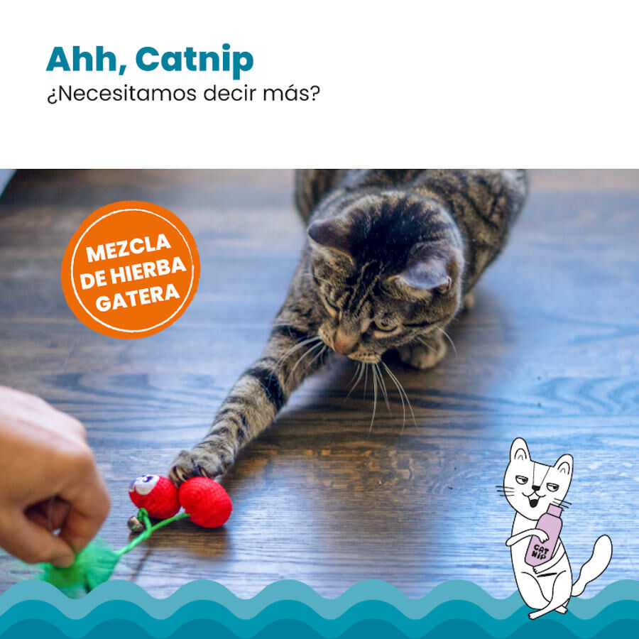Catstages Dental Cherries Peluche Suave de Cerezas para gatos, , large indicador imagen numero 4