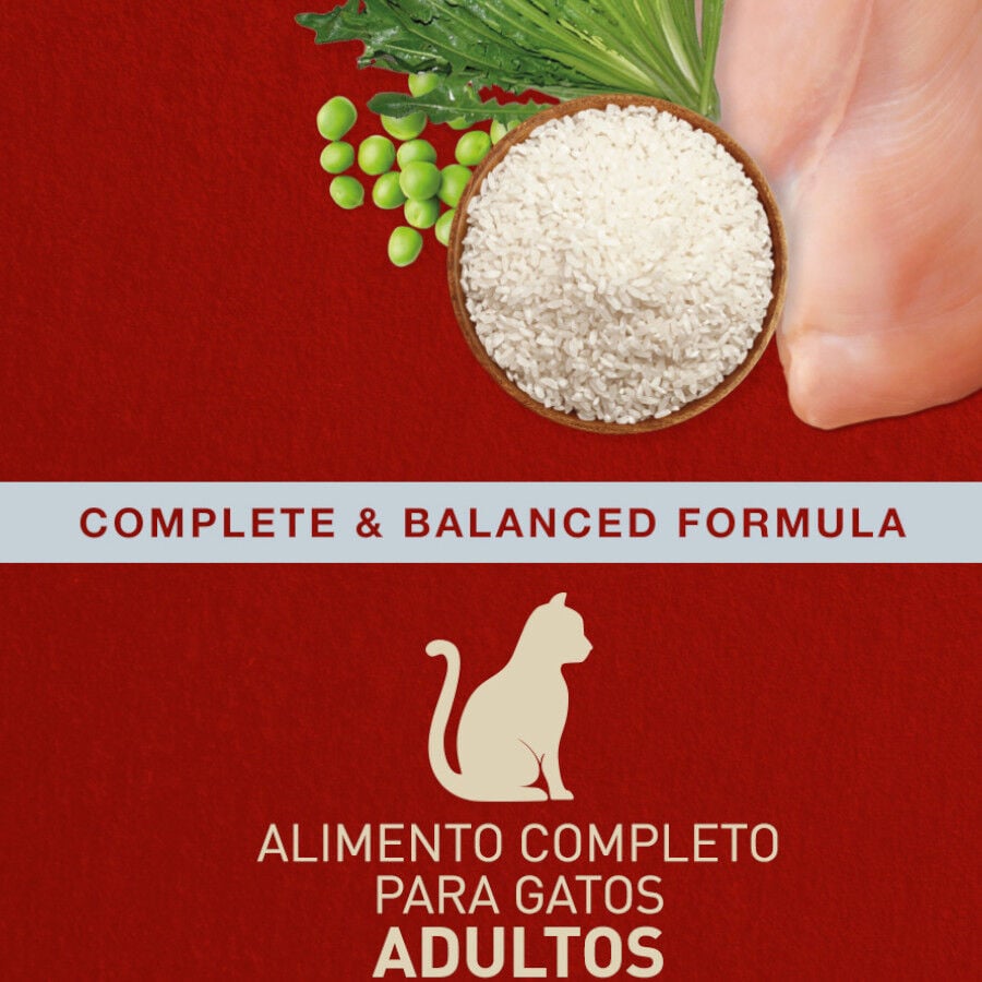10 kg Catxtreme Adult Outdoors Pollo pienso para gatos, , large Imagen numero 3