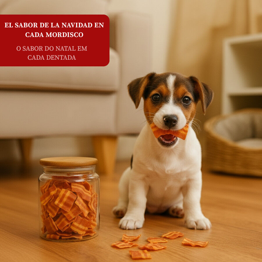 80 g Wonder Christmas Snack de Bacon Navide&ntilde;o para perros, , large indicador imagen numero 4