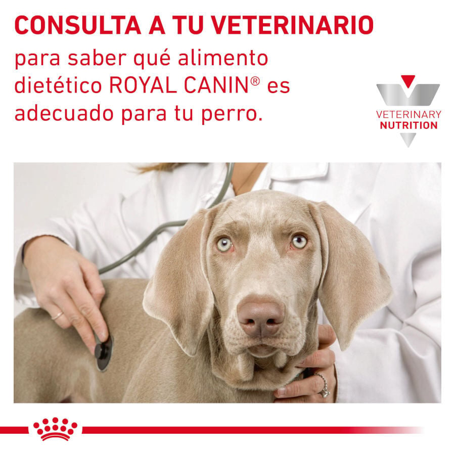 410 g Royal Canin Gastrointestinal High Fibre Pat&eacute; Lata para perros, , large Imagen numero 6