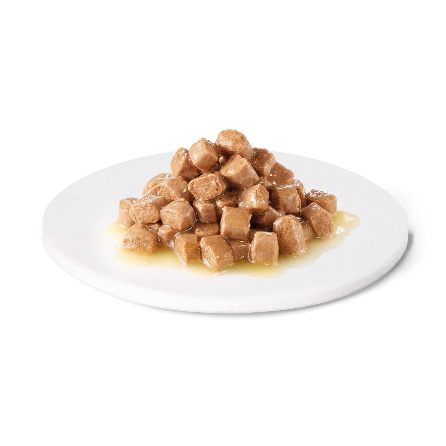 85 g Advance Gastroenteric Pollo sobre para gatos, , large Imagen numero 3
