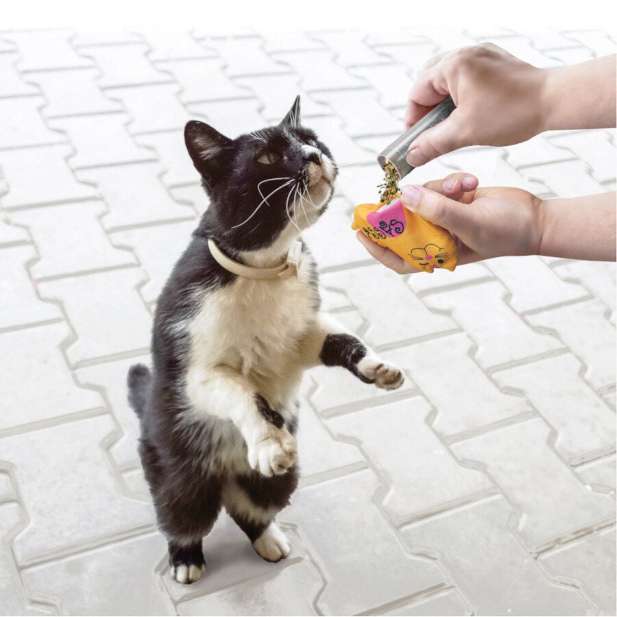 Kong Tubos Recargables con Catnip para gatos, , large indicador imagen numero 2