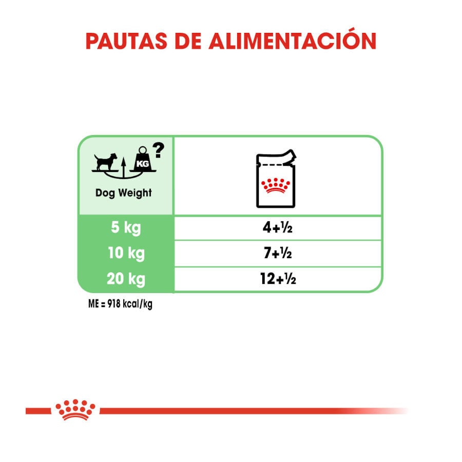 85 g Royal Canin Digestive Care Pat&eacute; sobres para perros, , large Imagen numero 7