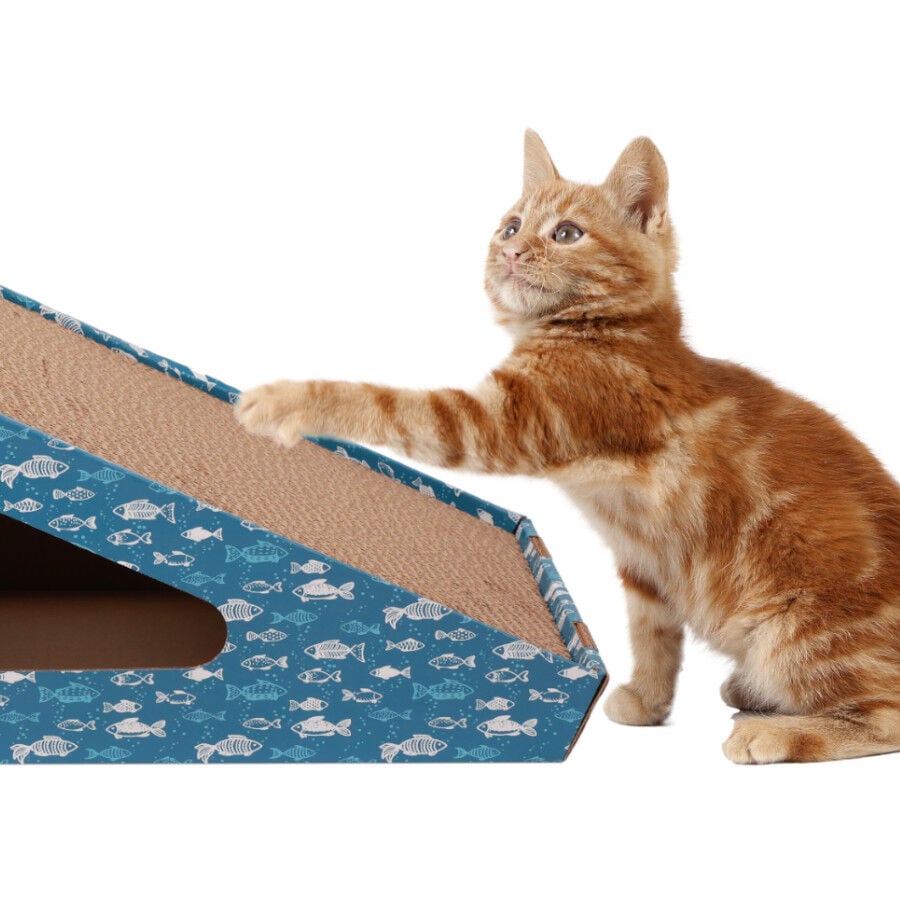 Leeby Walter rascador de cart&oacute;n horizontal con bola y estampado de peces para gatos, , large Imagen numero 2