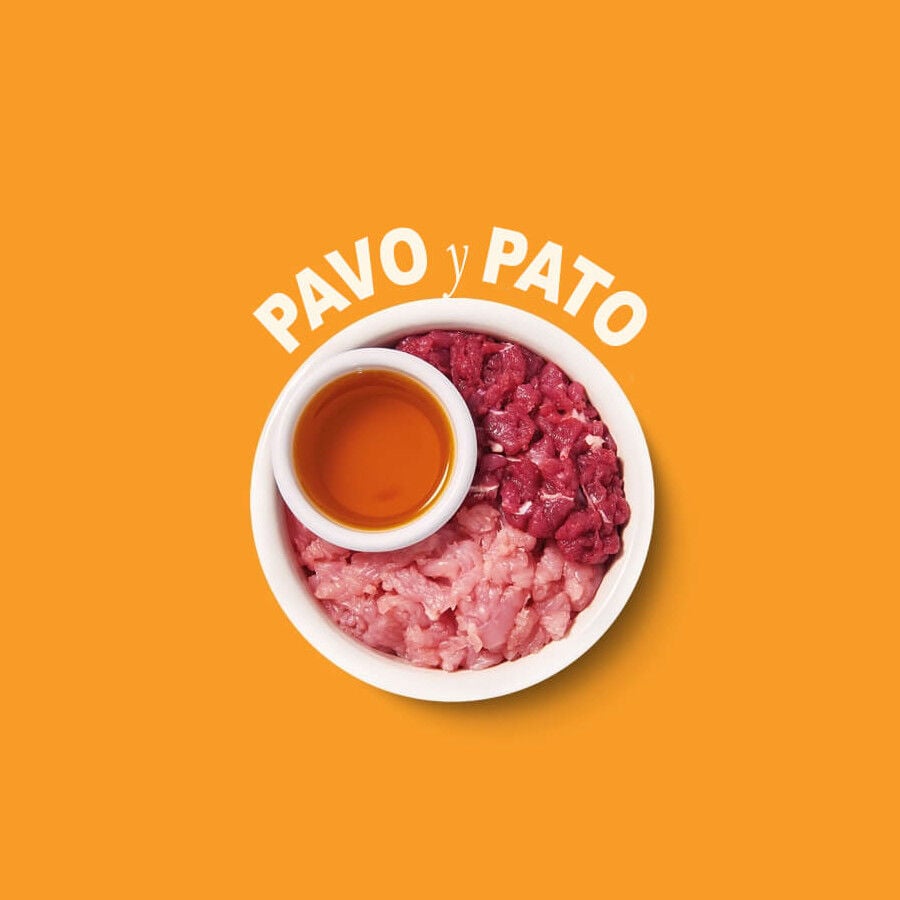 8 tarrinas x 85 g Lily's Kitchen Feline Smooth Selection pat&eacute; tarrinas , , large Imagen numero 6