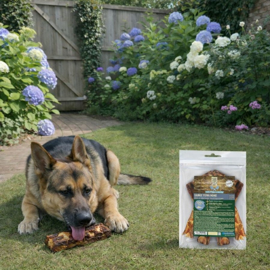 2 uds. True Origins Hueso de At&uacute;n Grande Snack para perros, , large indicador imagen numero 1