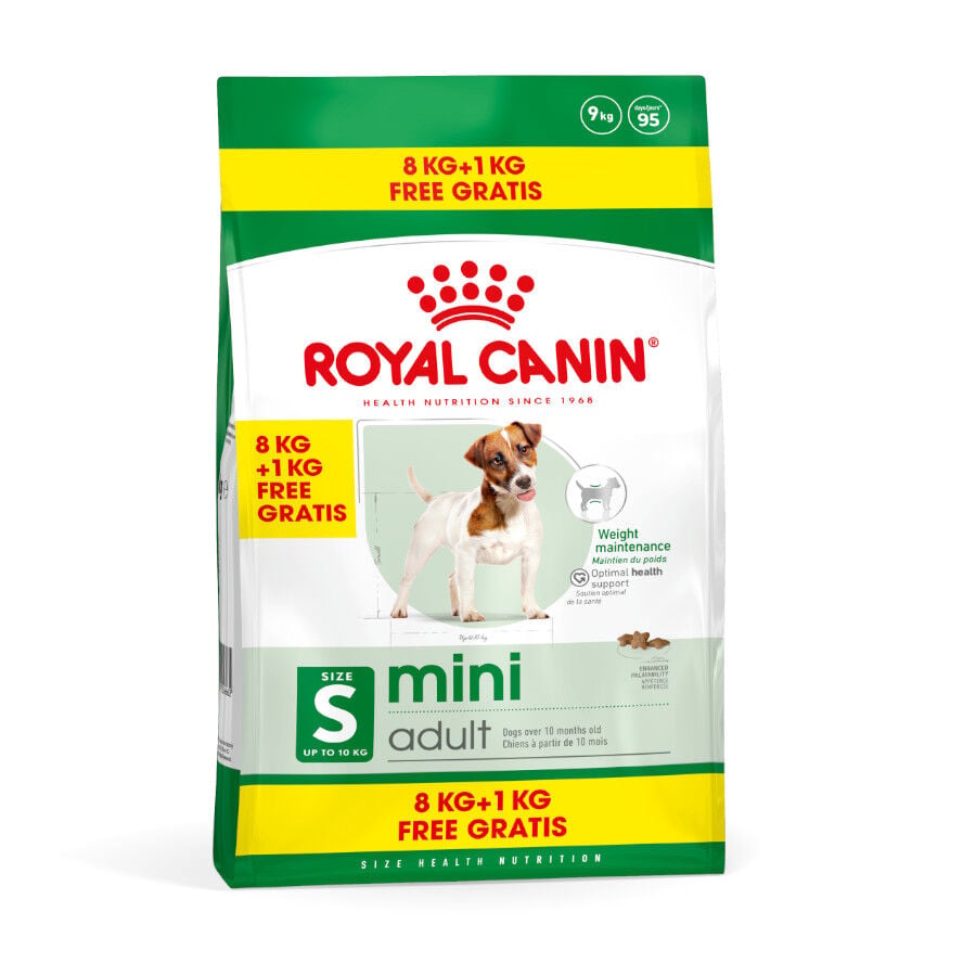 9 kg (8 + 1 kg gr&aacute;tis!) Royal Canin Mini Adult pienso para perros, , large Imagen numero 1