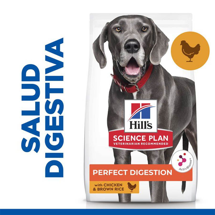 14 kg Hill's Science Plan Perfect Digestion Adult large Pollo pienso para perros, , large indicador imagen numero 2