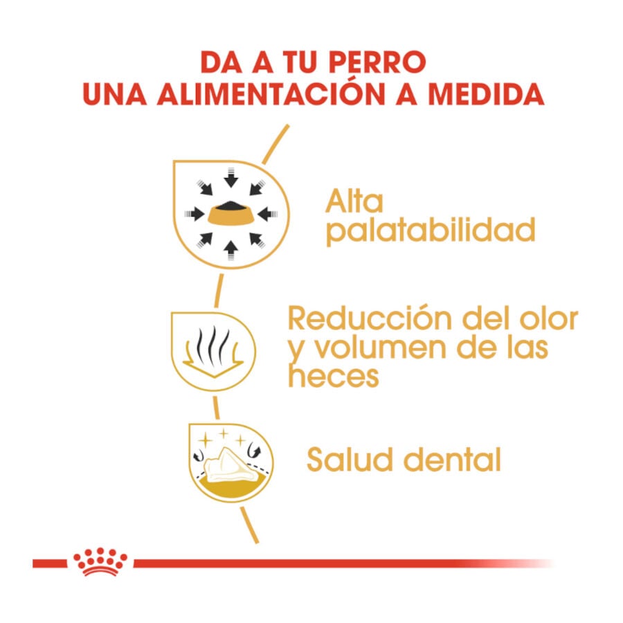 3 kg Royal Canin Adult Chihuahua pienso para perros, , large indicador imagen numero 6