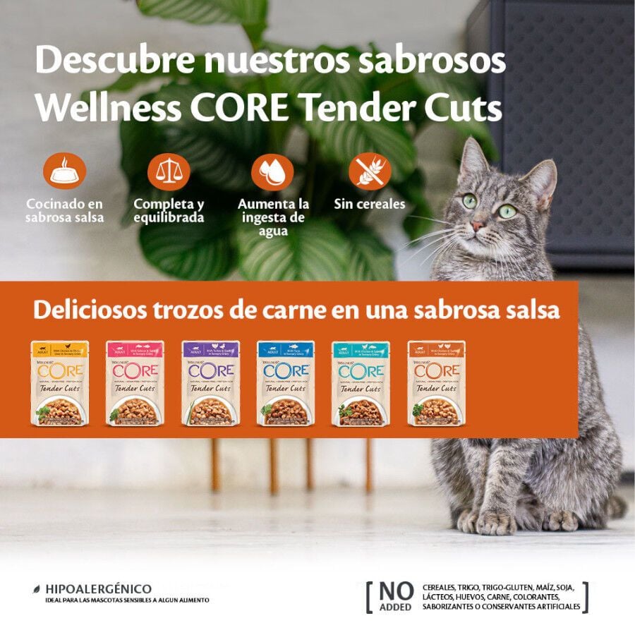 85 g Wellness Core Tender Cuts Pollo y Pato sobre en salsa para gatos, , large Imagen numero 3