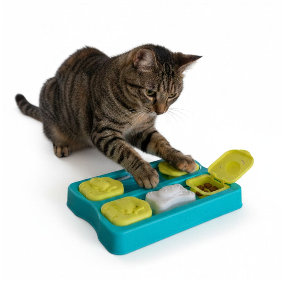 Catstages Juego de inteligencia para gatos