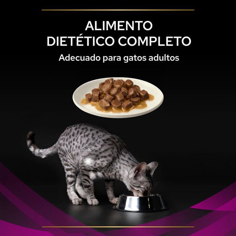 10 sobres x 85 g Pro Plan Veterinary Diets Feline UR Salm&oacute;n  x 85 g, , large indicador imagen numero 4